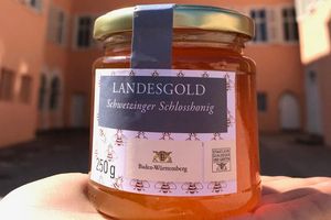 Landesgold Schwetzinger Schlosshonig