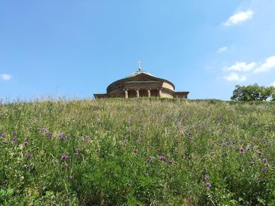 Grabkapelle auf dem Württemberg, Blühwiese 