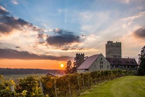 1250 Jahre Kraichgau, Wanderausstellung Schloss Bruchsal, Burg Neipperg