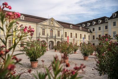 Residenzschloss Ludwigsburg, Oleander im Schlosshof 