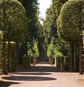 Schlossgarten Schwetzingen