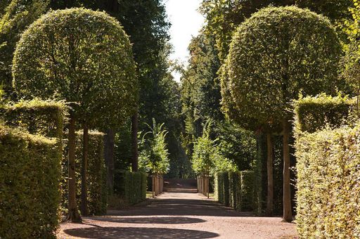 Schlossgarten Schwetzingen