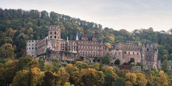 Schloss Heidelberg, Außenansicht