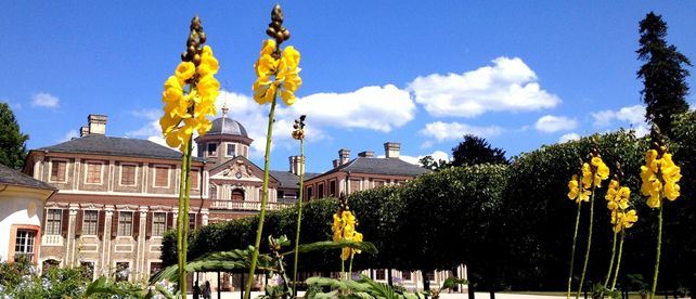 Schloss Favorite Rastatt