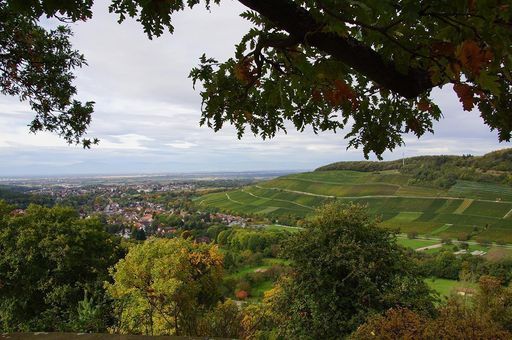 Ausblick von der Burgruine Badenweiler