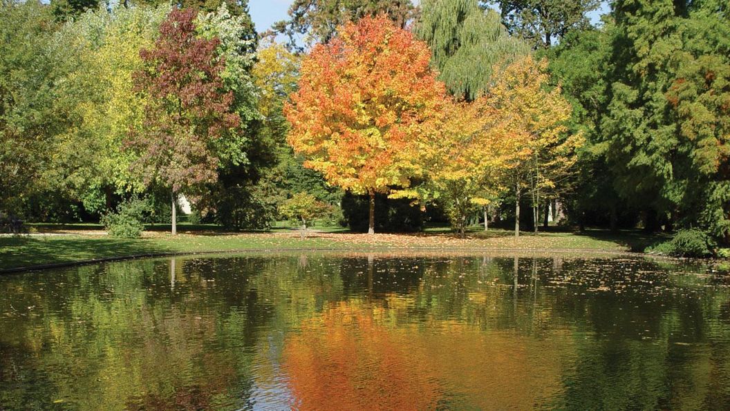 Schlossgarten Schwetzingen