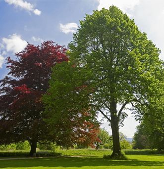 Schlossgarten Favorite Rastatt