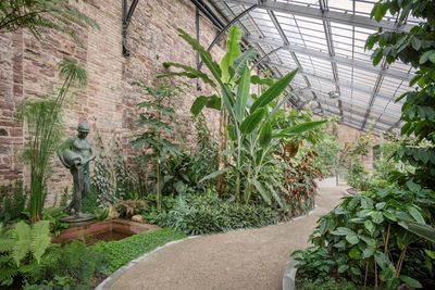 Botanischer Garten Karlsruhe, Innere vom Gewächshaus