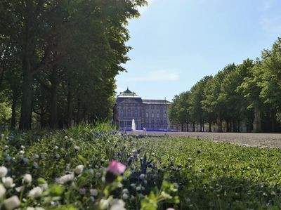 Schloss Bruchsal, Außenansicht mit Blumenwiese