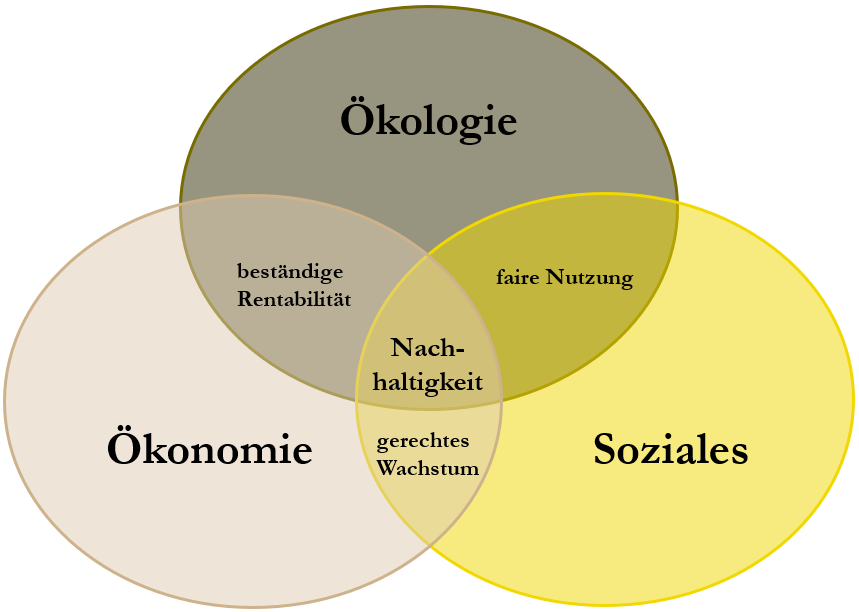 Grafik über den Begriff der Nachhaltigkeit