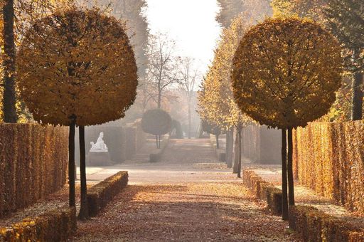 Schlossgarten Schwetzingen