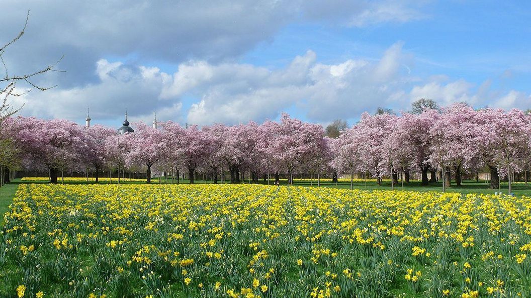 Schloss und Schlossgarten Schwetzingen, Schlossgarten im Frühling