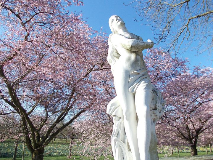 Schloss und Schlossgarten Schwetzingen, Garten